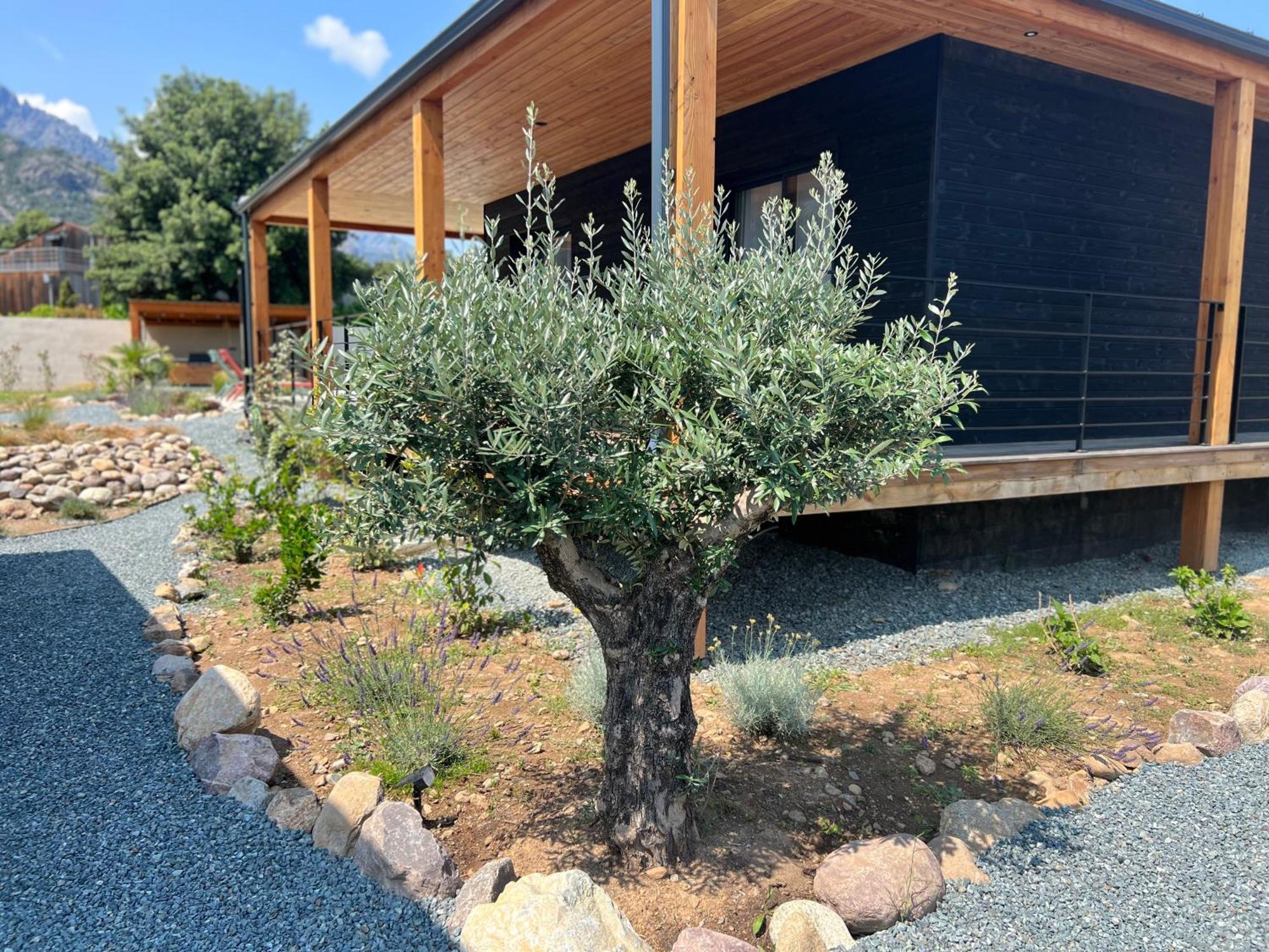 Villas Vallee D'Asco Moltifao Bagian luar foto
