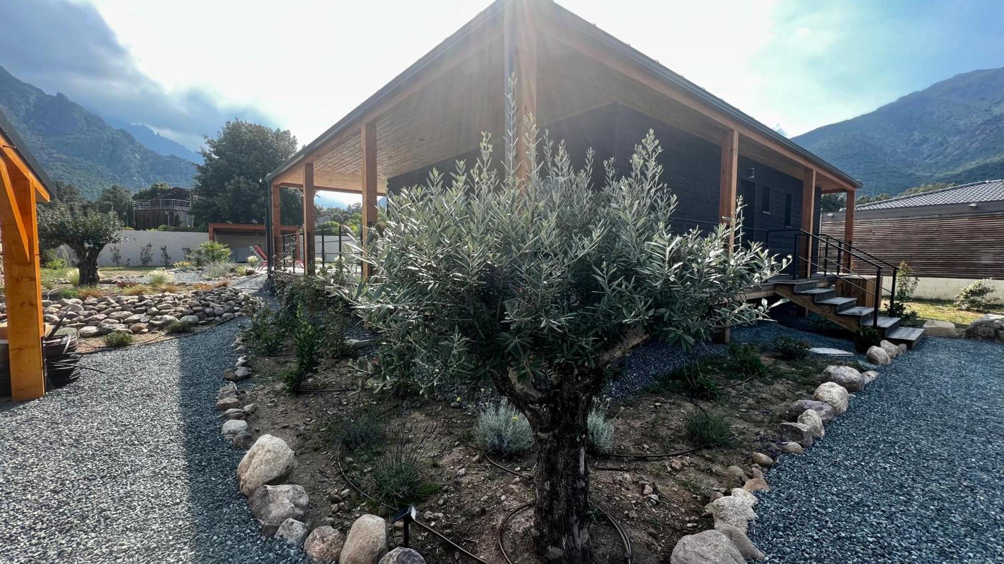 Villas Vallee D'Asco Moltifao Bagian luar foto