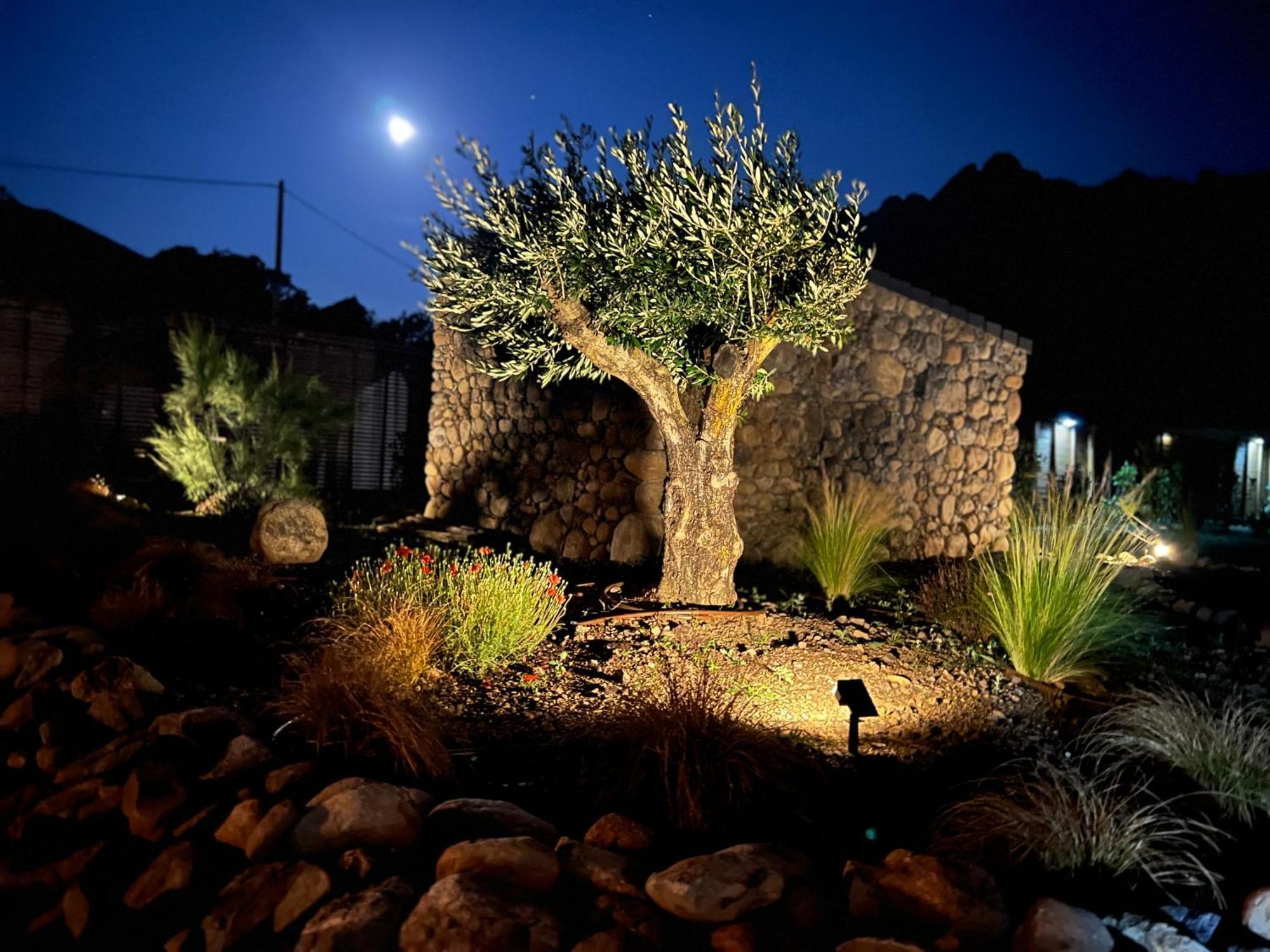 Villas Vallee D'Asco Moltifao Bagian luar foto