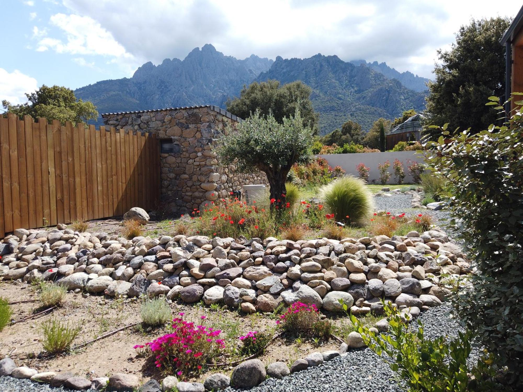 Villas Vallee D'Asco Moltifao Bagian luar foto